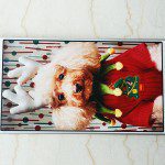 Samsung-Galaxy-A8 (8)