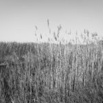 huawei-p9-leica-kamera-foto (5)