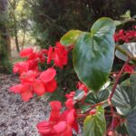 img_20160925_122100_compressed