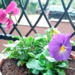 ulefone-future-kamera-tech2-7