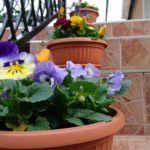 xperia-x-compact-kamera-tech2-1