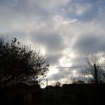 xperia-x-compact-kamera-tech2-7