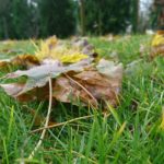 xperia-x-compact-kamera-tech2-8