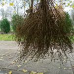 xperia-x-compact-kamera-tech2-9