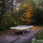 mate-9-camera-sample-06