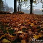 mate-9-camera-sample-08