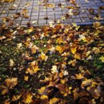 mate-9-camera-sample-09