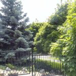 Vernee Thor E kamera (2)