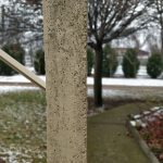 OnePlus 5T kamera _5