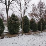 OnePlus 5T kamera _9