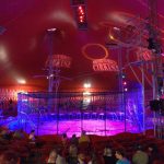 ASUS ZenFone 5 kamera (5)