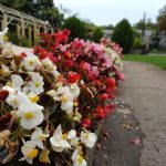 Xiaomi Black Shark kamera (9)