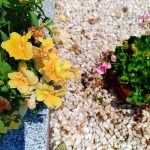 ZenFone Zoom S kamera (10)