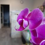 Galaxy A7 kamera (1)