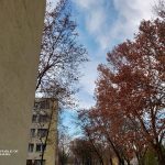 ROG Phone kamera _33