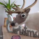 ROG Phone kamera _44