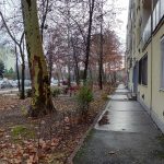 ROG Phone kamera _55