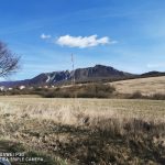 Huawei P30 kamera _8