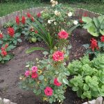 Xperia 10 II tesztfotó 4