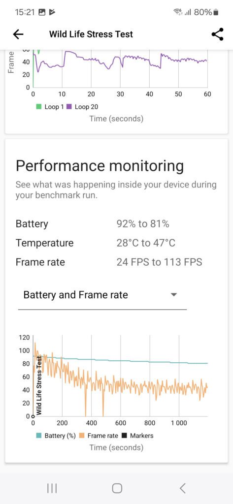 Galaxy S24 Wild Life Stress