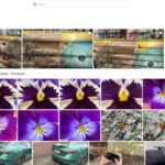BeeStation szoftver _5