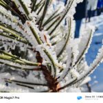 HONOR Magic7 Pro kamera_4