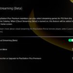 54093178853_1d9b53f431_k