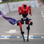honorrobotmaraton_main