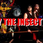 Video Thumbnail: Obey the Insect God – Out Now on Steam!