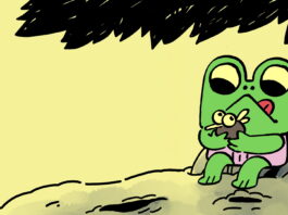 Walk The Frog teszt