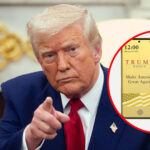 trumpt1_sale_main